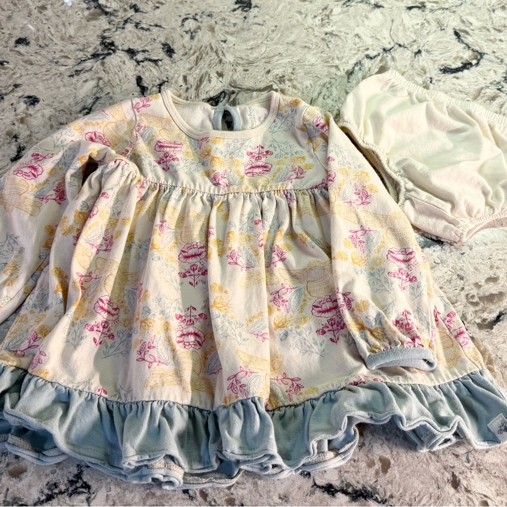 Burt’s Bees Baby Ivory Floral Bee Print Dress with Matching Bloomers